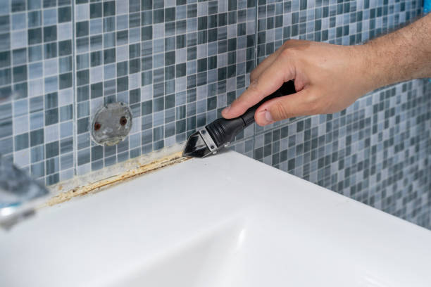 Best Black Mold Removal  in Surfside Beach, SC